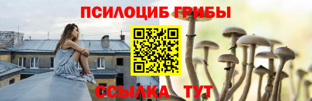 Реутов  Псилоцибиновые грибы Magic Shrooms  Вход с VPN 